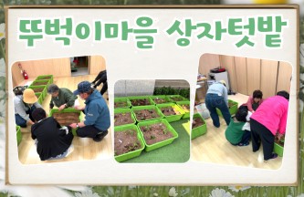 초록으로 물든 복지관, 뚜벅이마을 상자텃밭 이야기 게시물 첨부 이미지